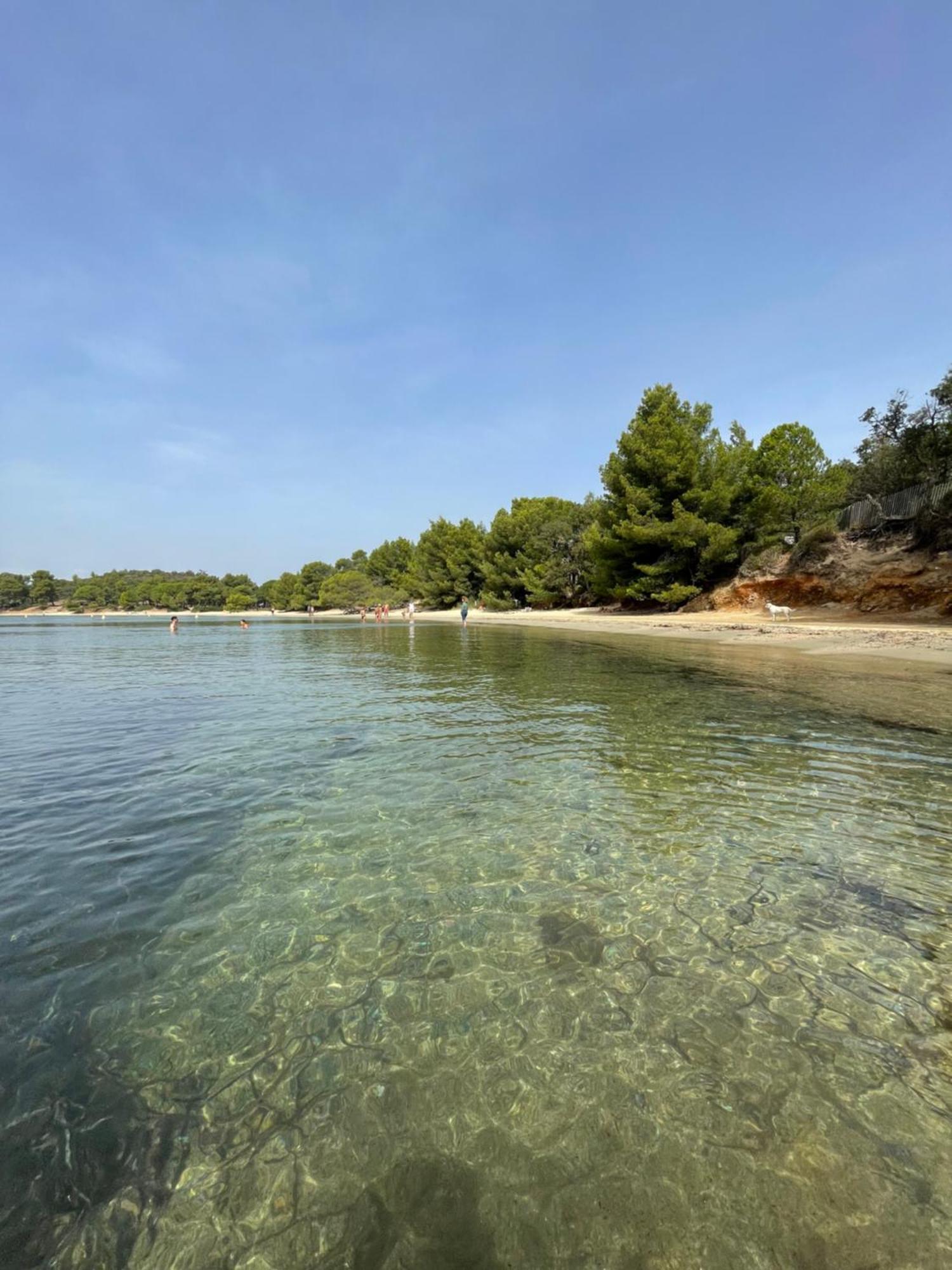 Appartement Plage Piscine Et Tennis Inclus Ла-Лонд-ле-Мор Экстерьер фото